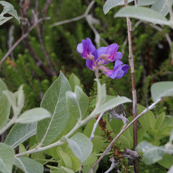 Similar image 21892411