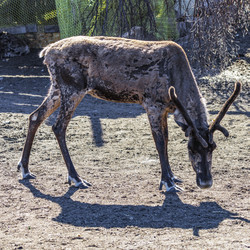 Similar image 21892287