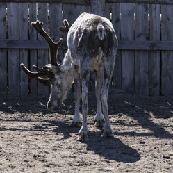 Similar image 21892413