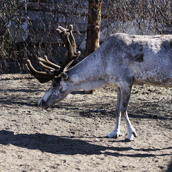 Similar image 21892415