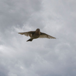 Similar image 21892416