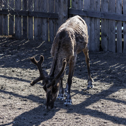 Similar image 21892417