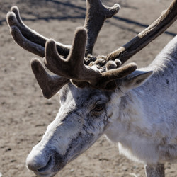 Similar image 21892418