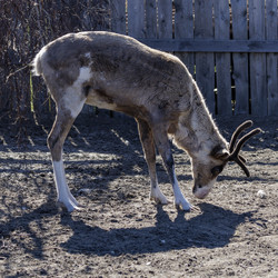 Similar image 21892419