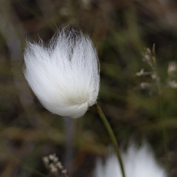 Similar image 21892420