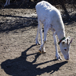 Similar image 21892421