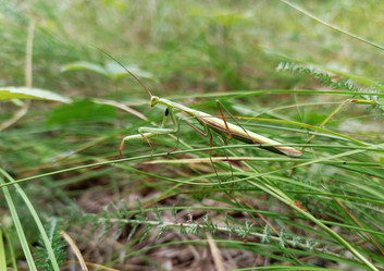 Similar image 21889067