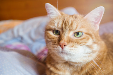 Similar image 21889396