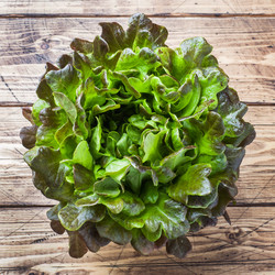 Similar image 21889430