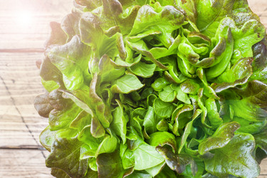 Similar image 21889434