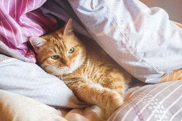 Similar image 21889435