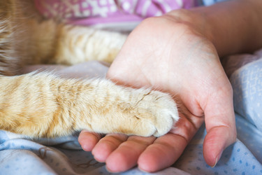 Similar image 21889437