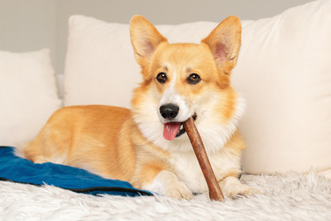 Similar image 21889523