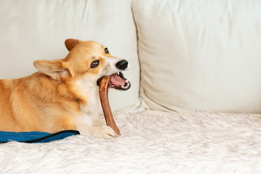 Similar image 21889524