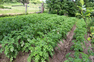 Similar image 21892432