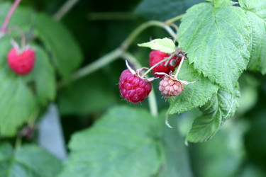 Similar image 21892433