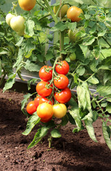 Similar image 21892434