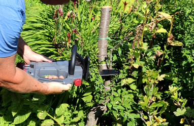 Similar image 21892435