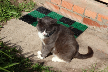 Similar image 21892437