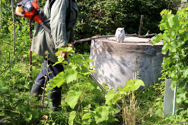 Similar image 21892438