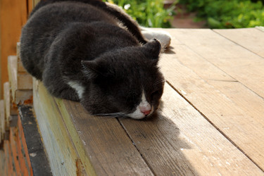 Similar image 21892439