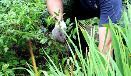 Similar image 21892441