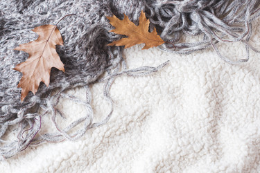 Similar image 21889484