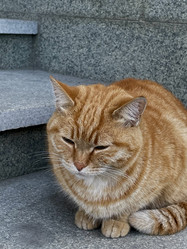 Similar image 21890388