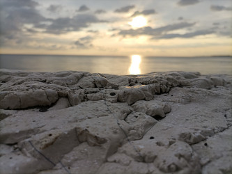 Similar image 21890396