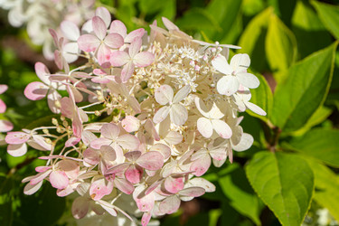 Similar image 21890397