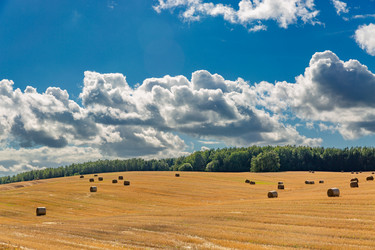 Similar image 21894264