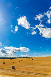 Similar image 21894267