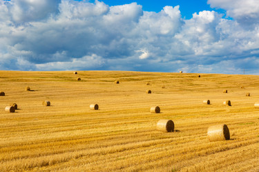 Similar image 21894268