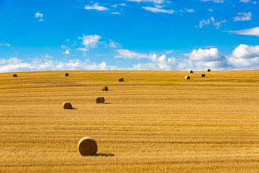 Similar image 21894270