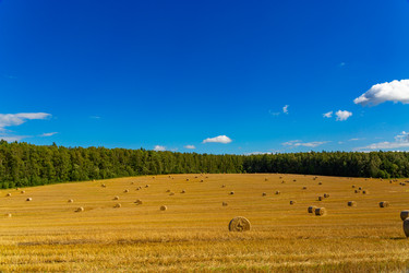 Similar image 21894273