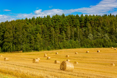 Similar image 21894274