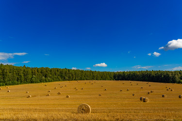 Similar image 21894275