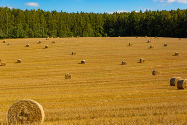 Similar image 21894276