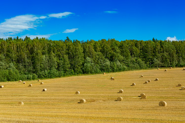 Similar image 21894278