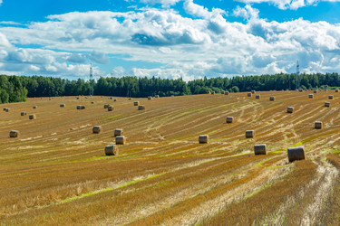 Similar image 21894279