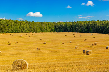 Similar image 21894283