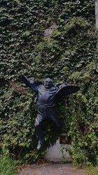 Similar image 21890537