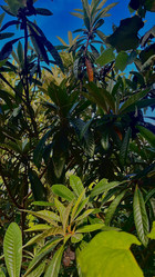 Similar image 21890541