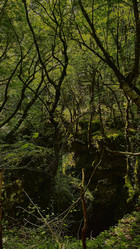 Similar image 21890544