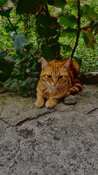 Similar image 21890545