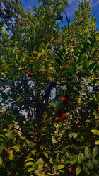 Similar image 21890549