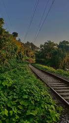 Similar image 21890550