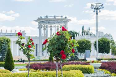 Similar image 21891153