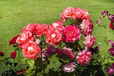 Similar image 21891200