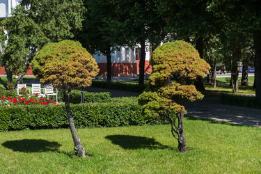 Similar image 21891201